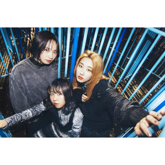 ヤユヨ